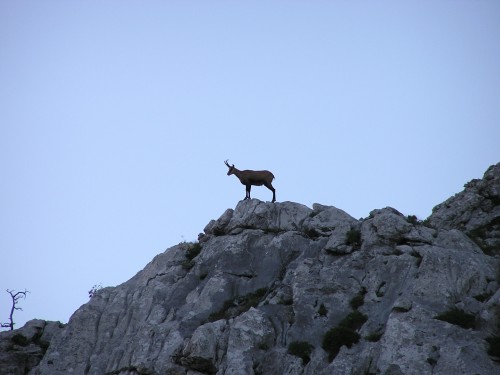 Nationalpark Nördlicher Velebit 8